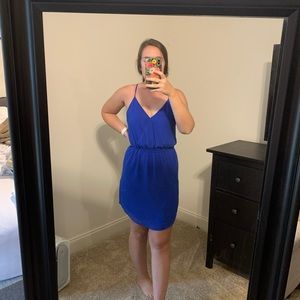 Naked Zebra - Electric Blue Wrap Dress
